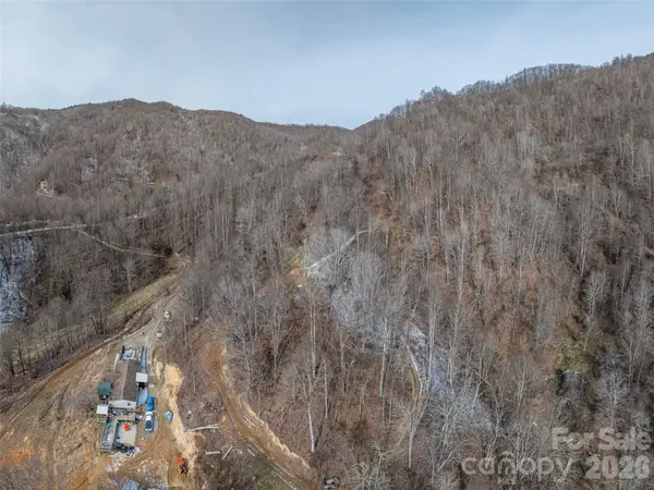 00 Max Patch RD, Clyde, NC 28721