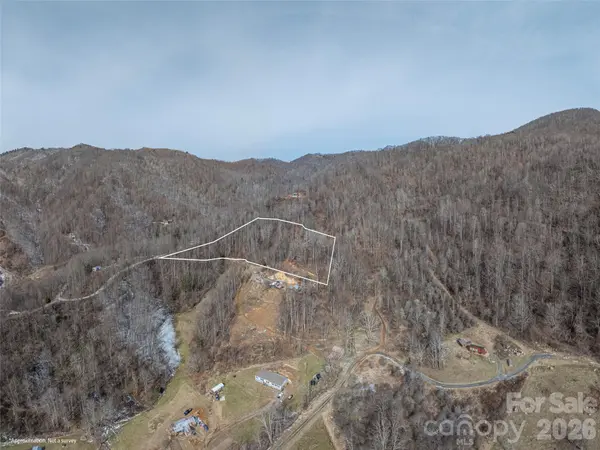 00 Max Patch RD, Clyde, NC 28721