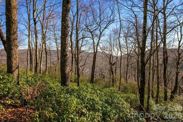 TBD Oak Ridge RD #17, Rosman, NC 28772