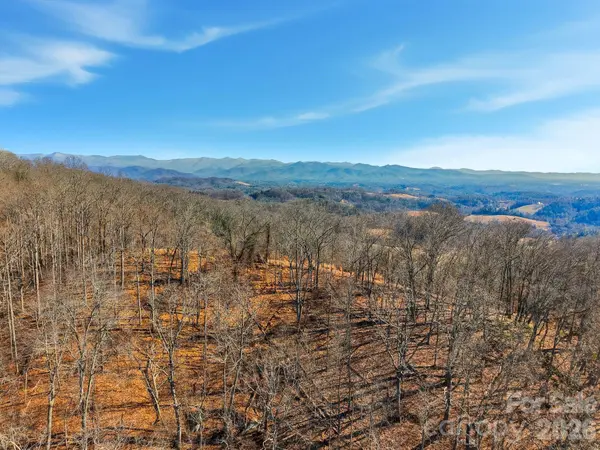 99999 Morgan Branch RD, Marshall, NC 28753