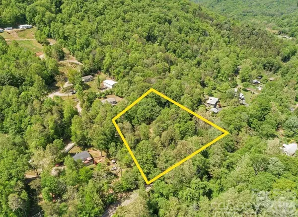 1127 Bee Tree RD, Swannanoa, NC 28778