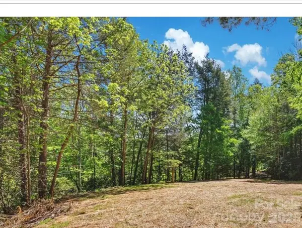 1127 Bee Tree RD, Swannanoa, NC 28778