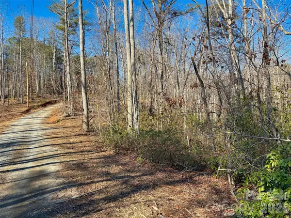 Lots 79 80 100 Westridge DR, Lake Lure, NC 28746