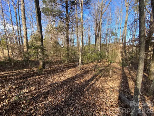 0 US Hwy 64/74A HWY, Rutherfordton, NC 28139