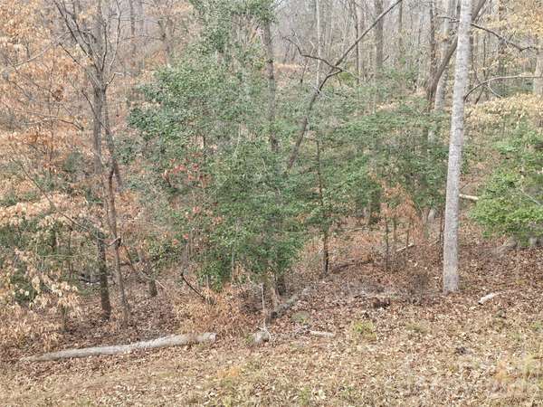 301 Chinkapin RD, Troy, NC 27371