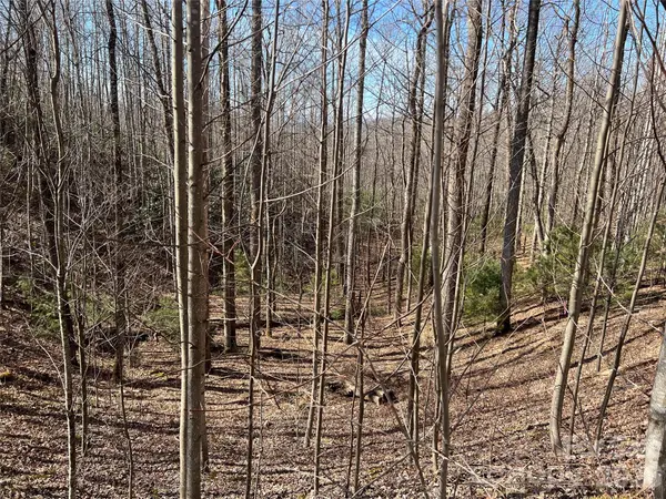521 Timber Rock DR #521, Lenoir, NC 28604