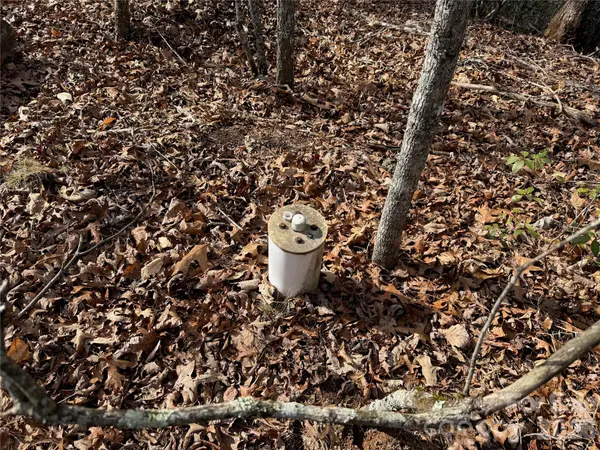 Lot 10, 11 River Run RUN, Franklin, NC 28734
