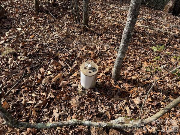 Lot 10, 11 River Run RUN, Franklin, NC 28734
