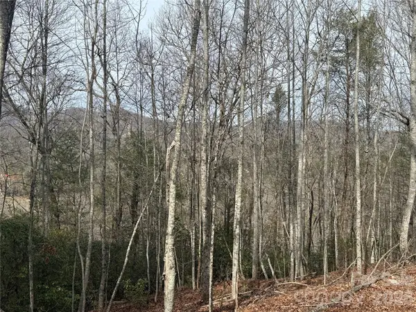Lot 10, 11 River Run RUN, Franklin, NC 28734