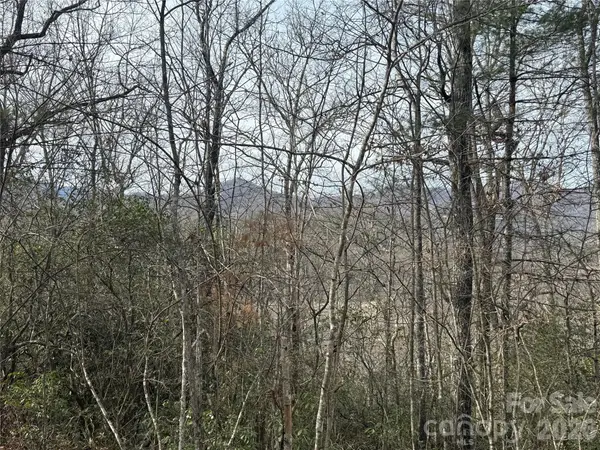 Lot 10, 11 River Run RUN, Franklin, NC 28734