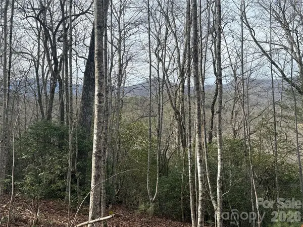 Lot 10, 11 River Run RUN, Franklin, NC 28734