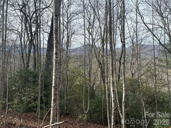 Lot 10, 11 River Run RUN, Franklin, NC 28734