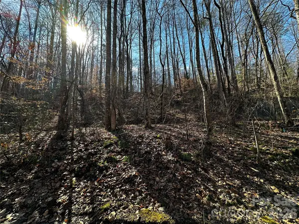 Lot 11 Blue Mist Mountain RD, Whittier, NC 28789