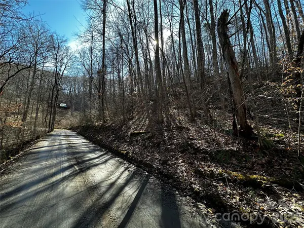 Lot 11 Blue Mist Mountain RD, Whittier, NC 28789