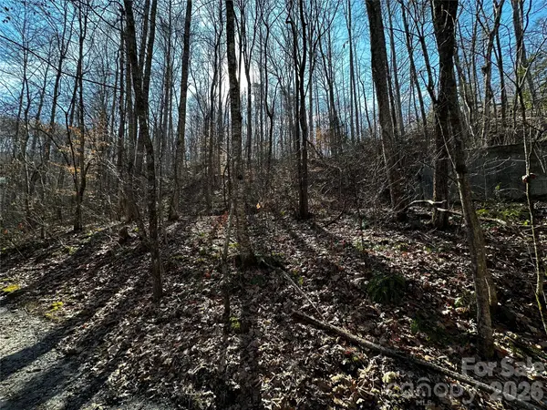 Lot 11 Blue Mist Mountain RD, Whittier, NC 28789
