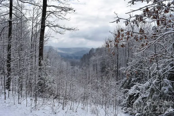 0000 Pinnacle Mountain RD #Lots 1,2,3,4, Zirconia, NC 28790
