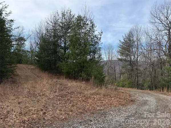 TBD Maple Valley LN #207 & 220, Purlear, NC 28665