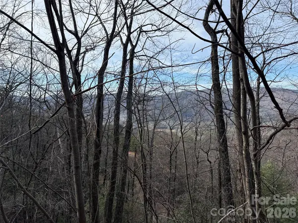 TBD Maple Valley LN #207 & 220, Purlear, NC 28665