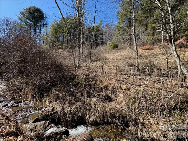 9999 Bee Log RD, Burnsville, NC 28714