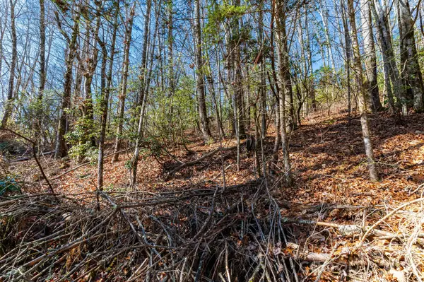 999 Flat Creek Valley RD, Lake Toxaway, NC 28747