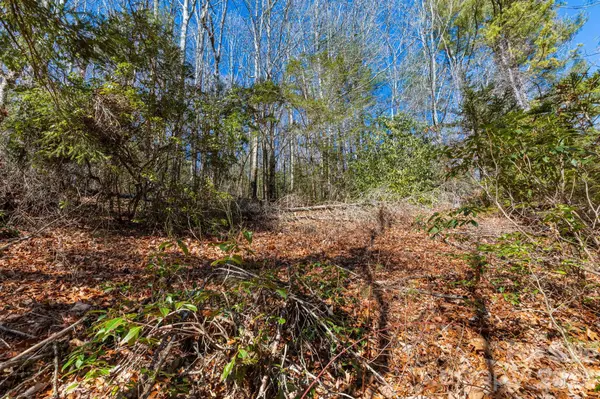 999 Flat Creek Valley RD, Lake Toxaway, NC 28747
