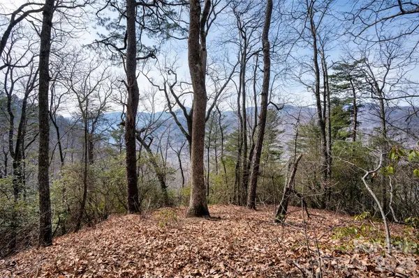 0 Rachel RDG, Lake Lure, NC 28746