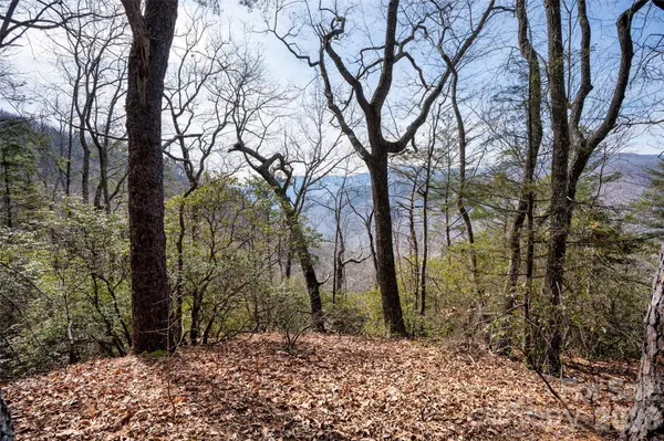 0 Rachel RDG, Lake Lure, NC 28746