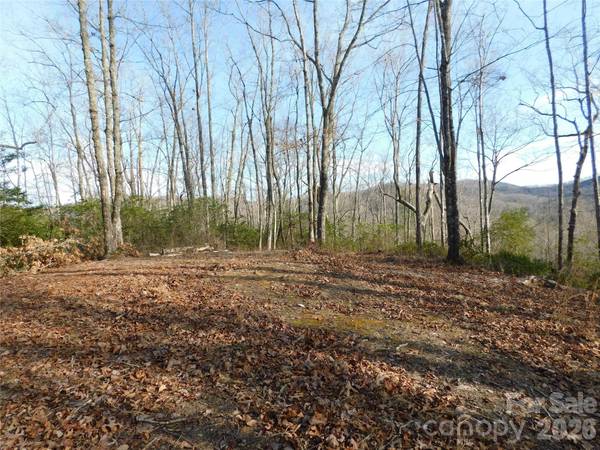 154 Laurel Thicket DR #98, Brevard, NC 28712