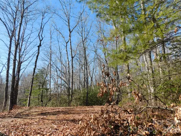 154 Laurel Thicket DR #98, Brevard, NC 28712