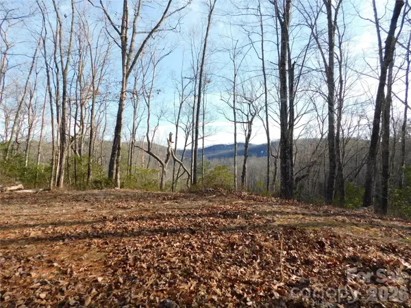 154 Laurel Thicket DR #98, Brevard, NC 28712