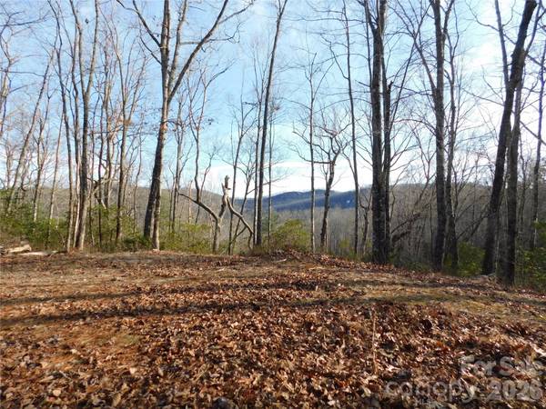 154 Laurel Thicket DR #98, Brevard, NC 28712