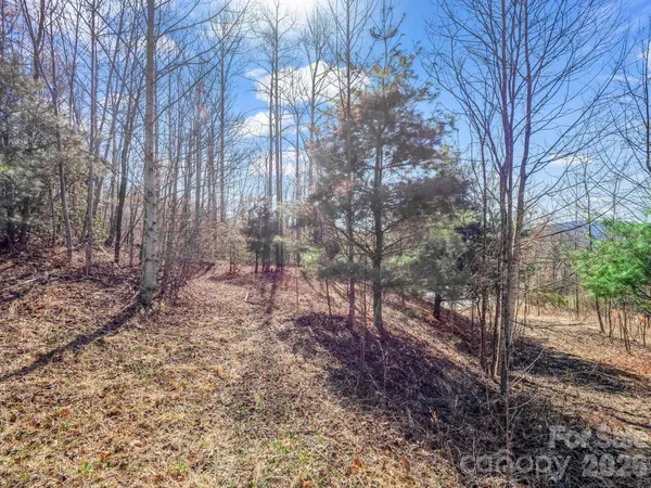 142 Mountain Elder LN #79, Hendersonville, NC 28739