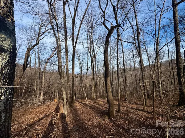0 Peartree DR, Lake Lure, NC 28746