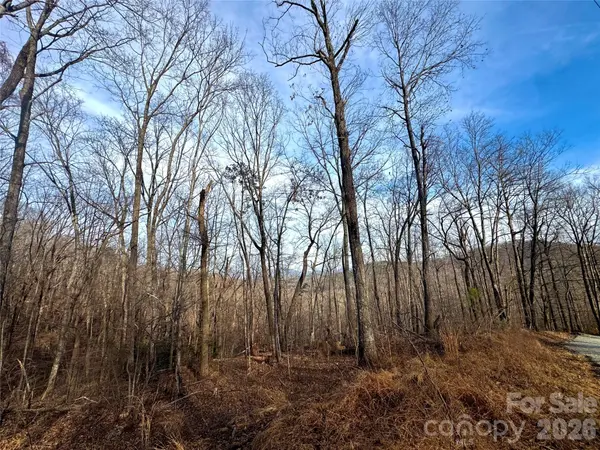 0 Peartree DR, Lake Lure, NC 28746
