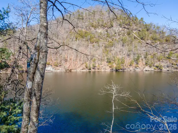 672 Southshore DR #672, Tuckasegee, NC 28783
