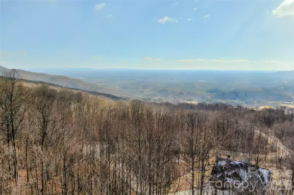 630 Spring Cove LN, Mill Spring, NC 28756