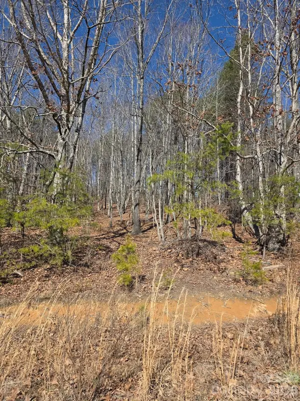 4899 Teague Town RD, Taylorsville, NC 28681
