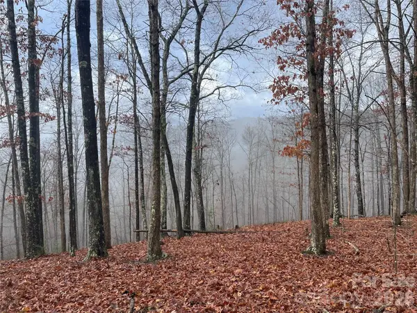 75 Wild Turkey LOOP #31, Marshall, NC 28753