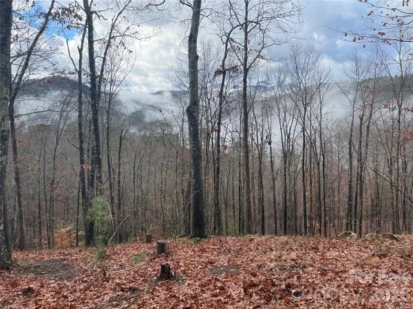 75 Wild Turkey LOOP #31, Marshall, NC 28753