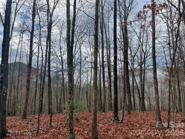 75 Wild Turkey LOOP #31, Marshall, NC 28753