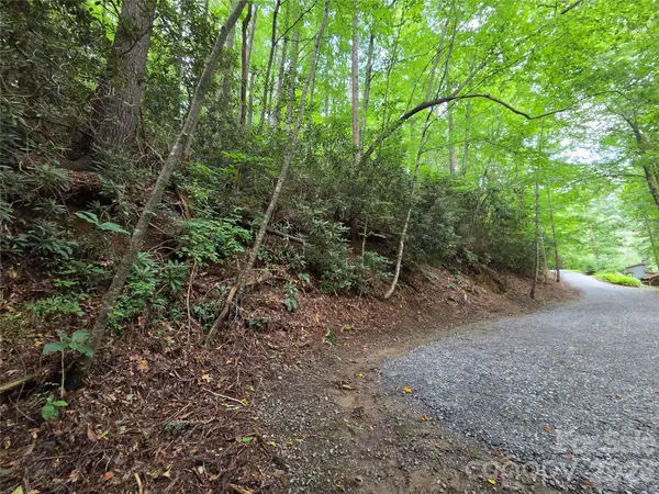 230 Serendipity LN #105, Waynesville, NC 28785