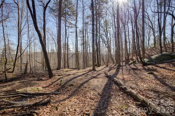004 High Road CT #4, Lake Lure, NC 28746