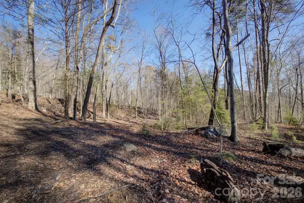004 High Road CT #4, Lake Lure, NC 28746