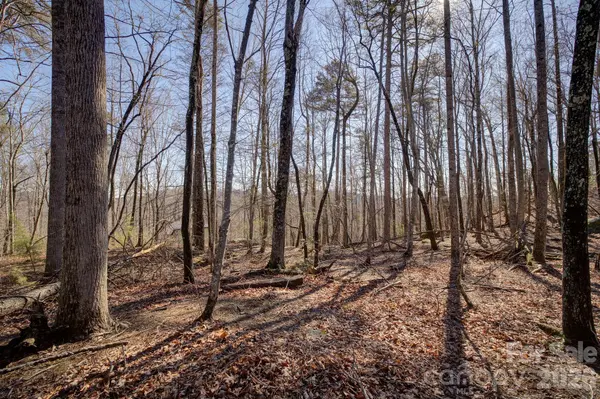 004 High Road CT #4, Lake Lure, NC 28746