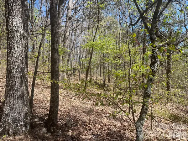00 Pilgrim Church RD, Hiddenite, NC 28636