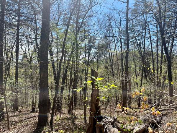 00 Pilgrim Church RD, Hiddenite, NC 28636
