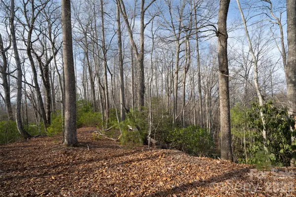 29 Open Ridge TRL, Pisgah Forest, NC 28768