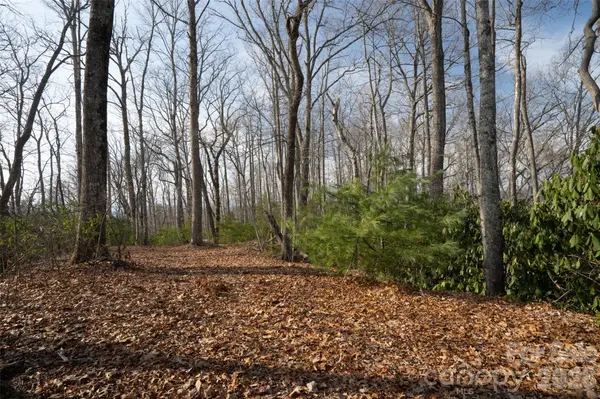 29 Open Ridge TRL, Pisgah Forest, NC 28768