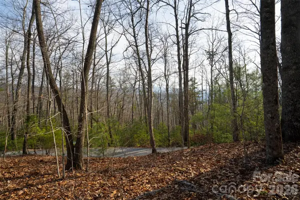 29 Open Ridge TRL, Pisgah Forest, NC 28768