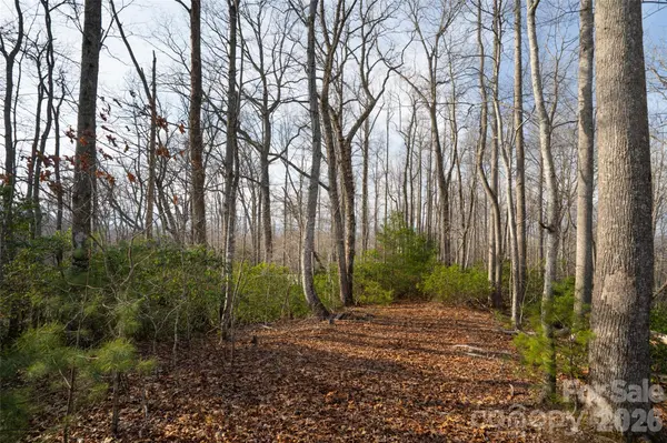29 Open Ridge TRL, Pisgah Forest, NC 28768